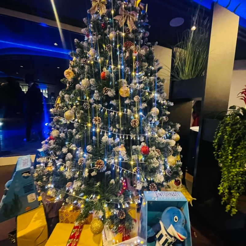FESTA DI NATALE PESCARA CALCIO – foto 3